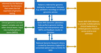 “A very big challenge”: a qualitative study to explore the early barriers and enablers to implementing a national genomic medicine service in England